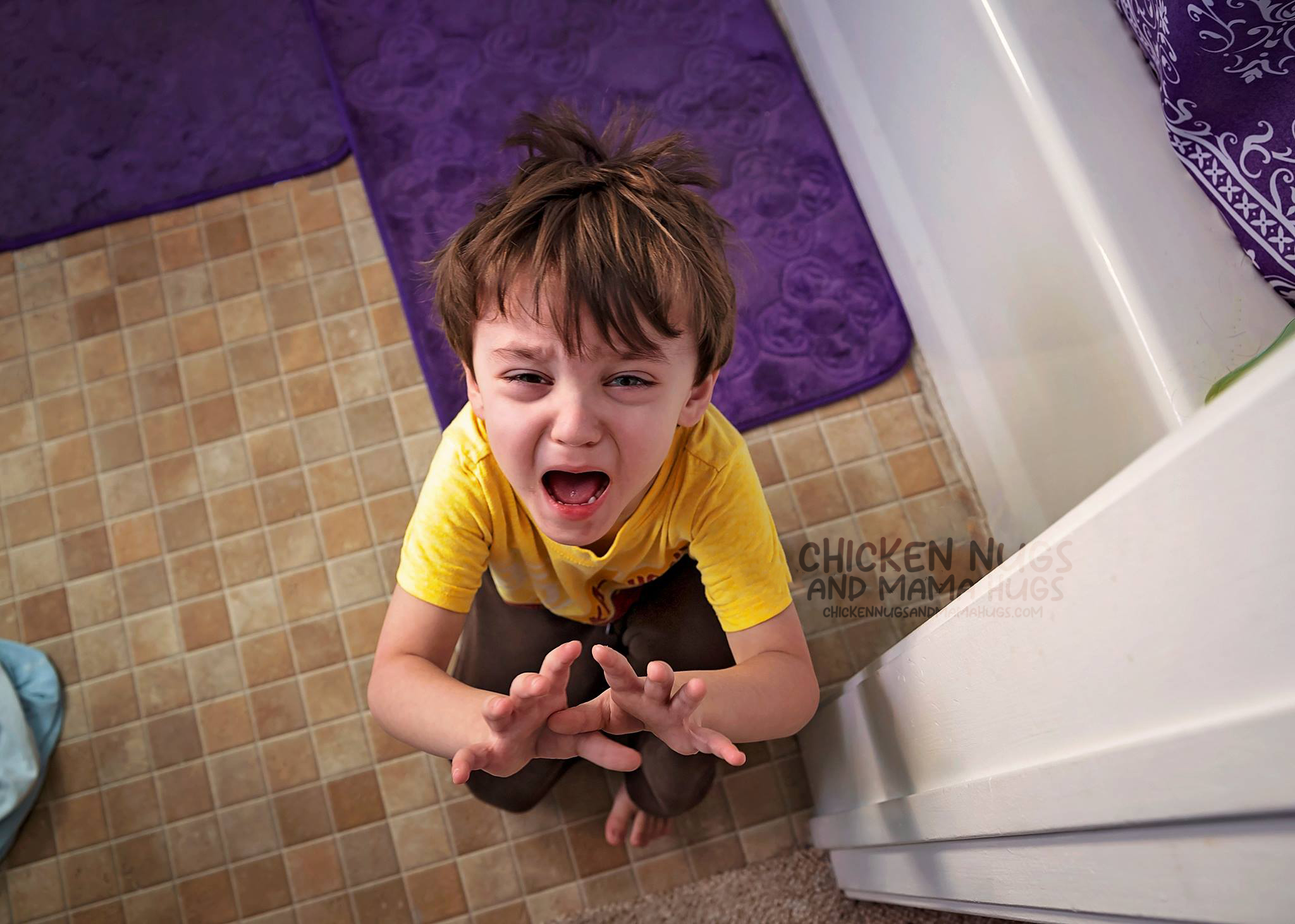 Meltdowns